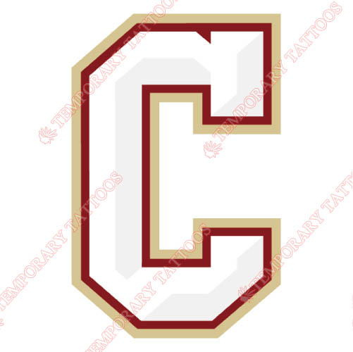 Charleston SC Cougars Customize Temporary Tattoos Stickers NO.4127